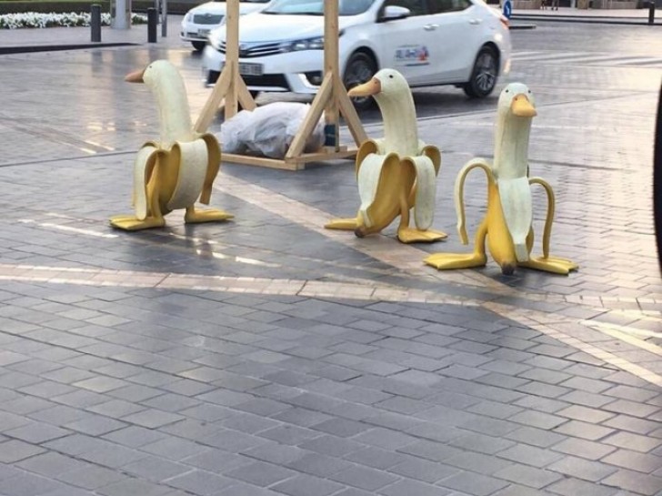 3. Le oche-banana stanno invadendo la città!