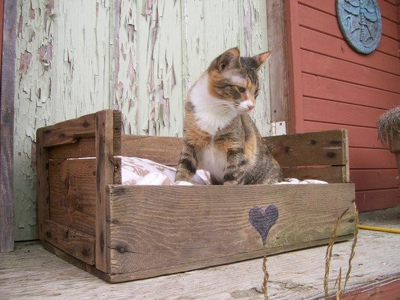 10. Even your four-legged friend can have its own comfortable and aesthetically pleasing cat or dog bed!