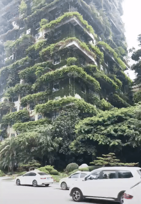 16. Jungle dans une jungle urbaine, le Country Garden à Guangdong, Chine
