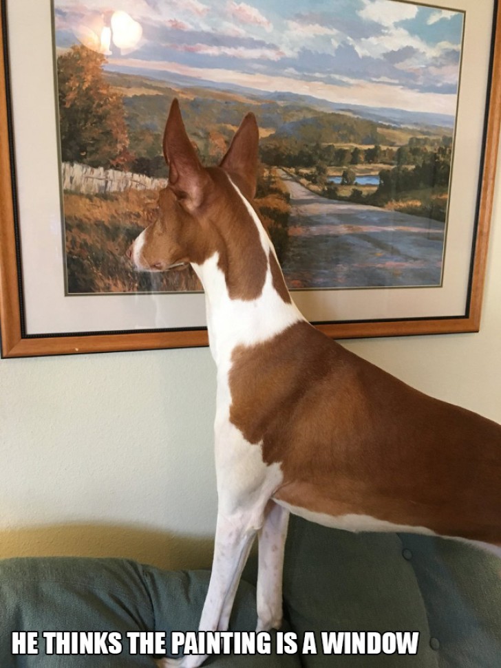 1. "Er denkt, das Bild sei ein Fenster!"