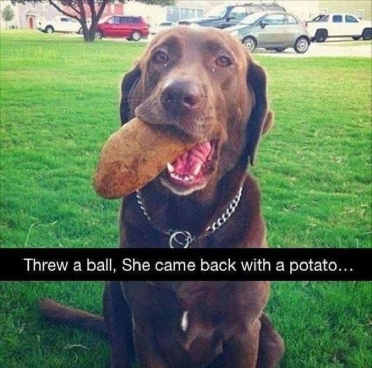 9. "He threw a ball. She came back with a potato."
