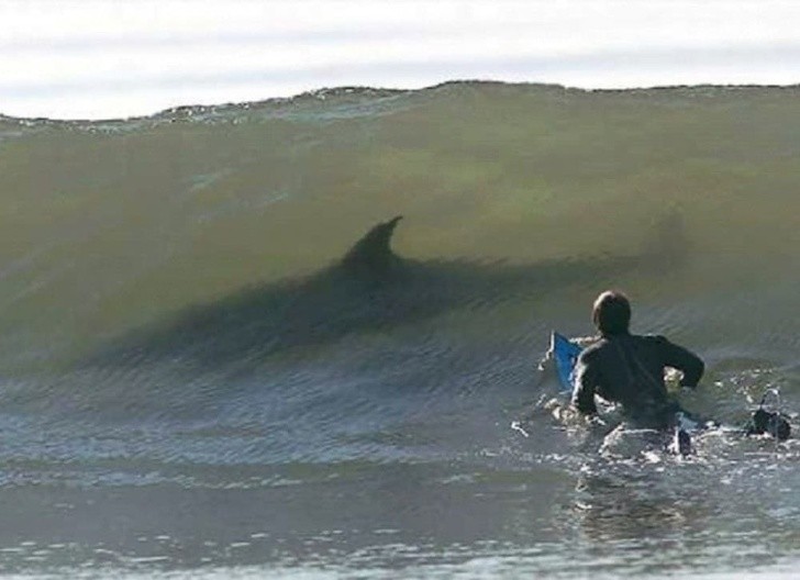 2. On ne voudrait jamais être à la place de ce surfeur. Jamais.