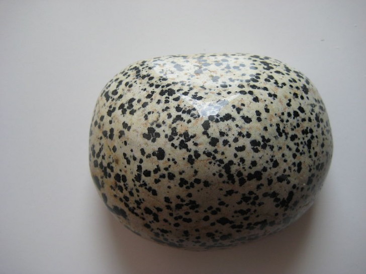  6. Dalmatian jasper aka Dalmatian stone