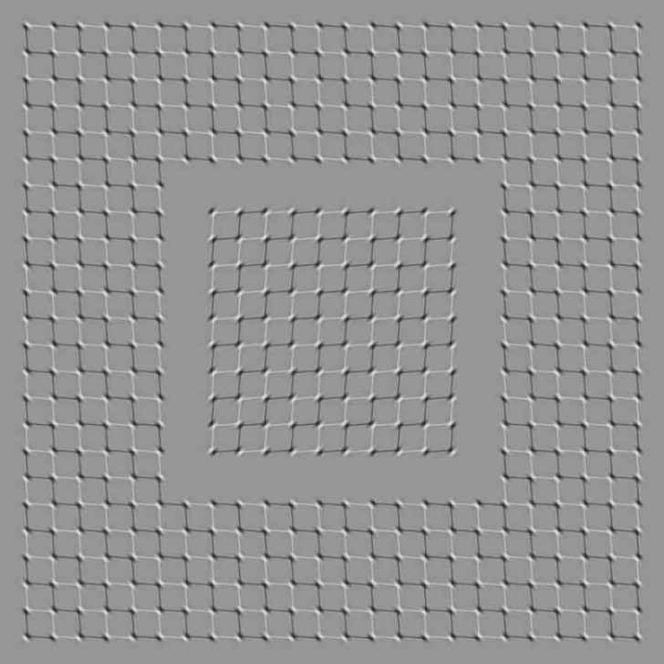 Bougez la tête devant cette figure et observez comment réagissent les carrés.