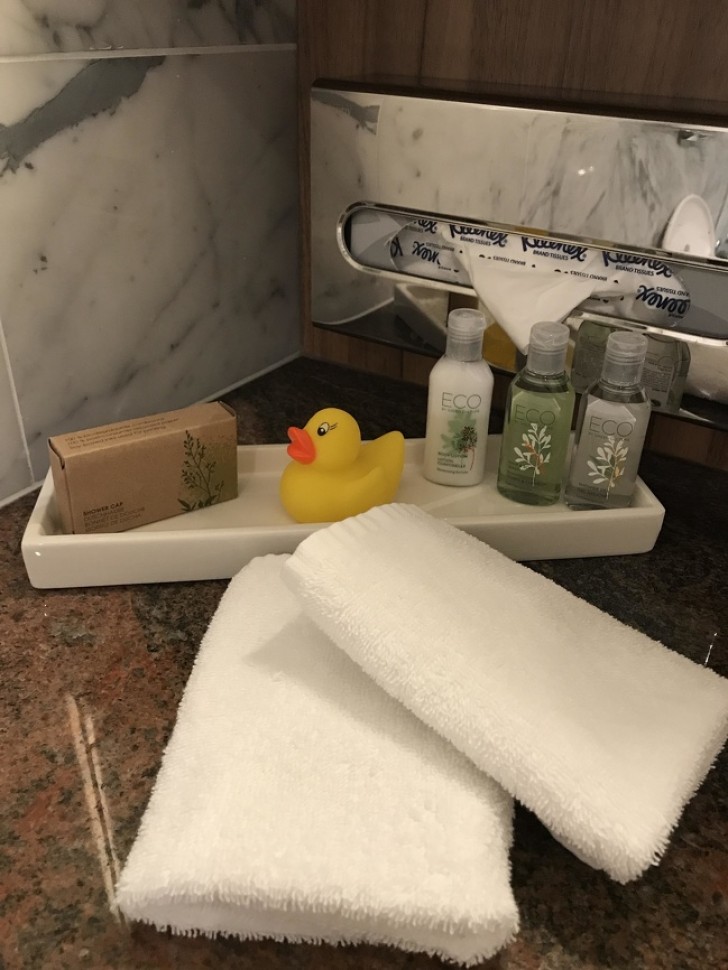 3. Cet hôtel fournit des canards en plastique avec les produits de bain normaux.. Nous sommes sûrs que les enfants ne seront pas les seuls à jouer avec !