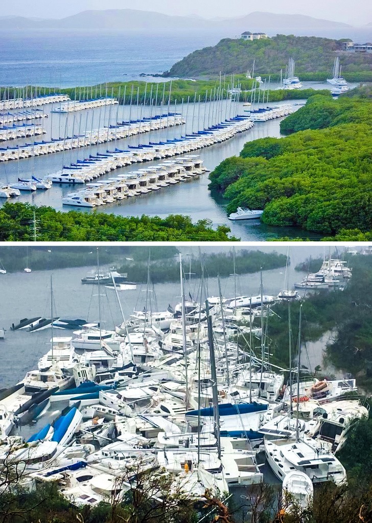 5. Baie Paraquita, dans les îles Vierges britanniques, avant et après l'ouragan de 2017