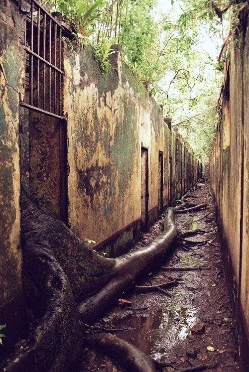 Foto 15. Im Gefängnis von Devil's Island.