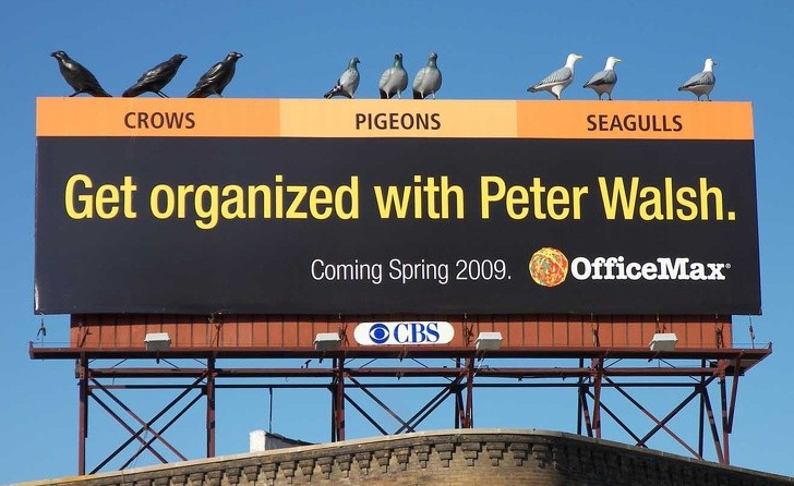 8. "Organizzati con Peter Walsh" (Può organizzare anche i piccioni)