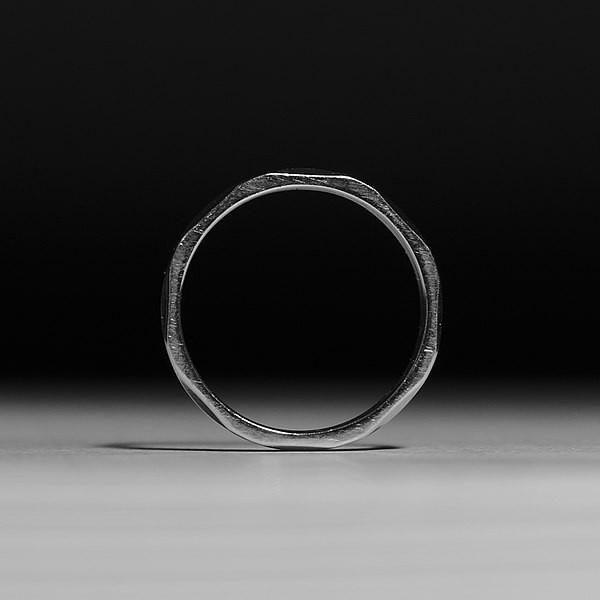 8. L'anello di ferro