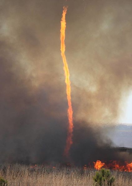 5. Der Feuertornado entsteht, wenn sich ein Wirbelsturm in der Nähe eines Feuers dreht und es eine Aufwärtsströmung gibt.