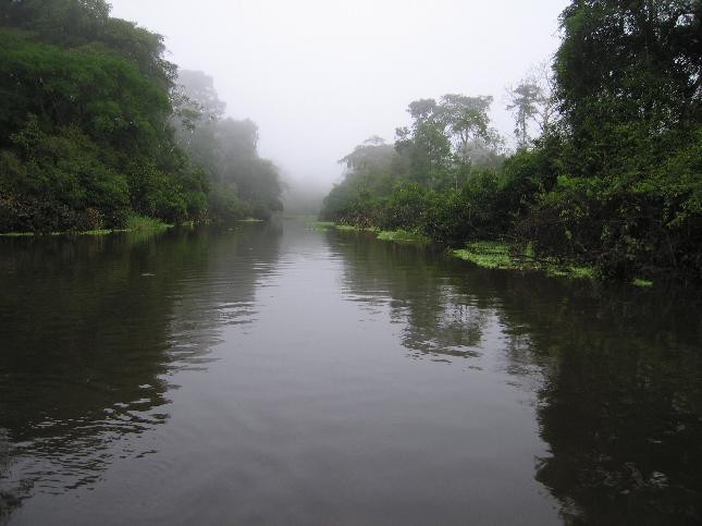 3. Der kolumbianische Stamm Passé ist ein Volk, das in den Regenwäldern des Amazonasgebietes lebt, unberührt vom Rest der Welt. Derzeit befinden sie sich im Rio Puré Nationalpark, der ständig überwacht wird, um sie vor Drogenhändlern, Siedlern und Holzfällern zu schützen.