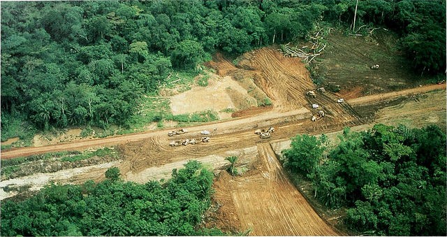 Amazonas, 2018 Rekordwaldabbau: Milliarden von Bäumen wurden in 7 Monaten gefällt - 1