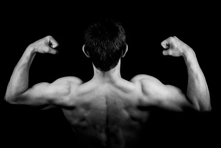 6. I nostri muscoli sono progettati per sollevare tonnellate e spesso ne usiamo veramente pochi e siamo all'oscuro dell'esistenza di altri.
