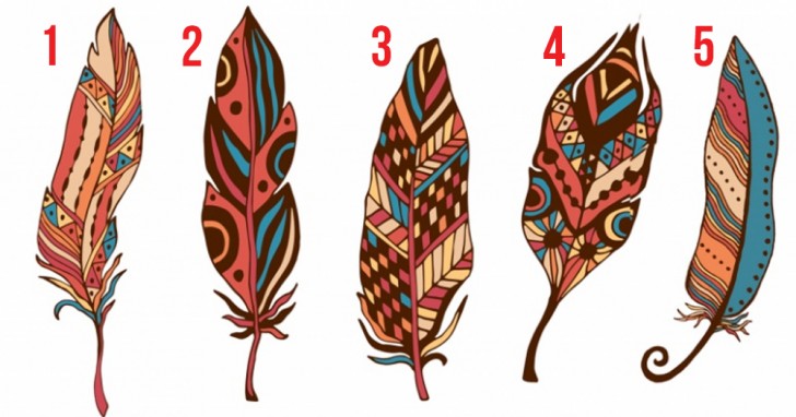 Take a good look at this image and choose from among these feathers the one that inspires you the most!