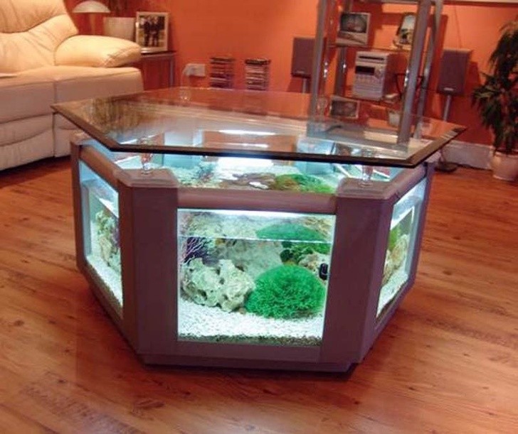 13. Ein Tisch mit einem Aquarium in sehr exotischer Optik.
