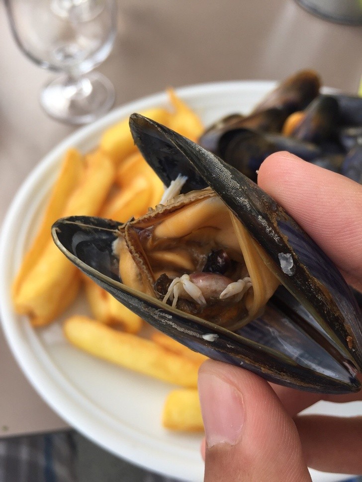 6. Un petit crabe a été trouvé à l'intérieur de cette moule.