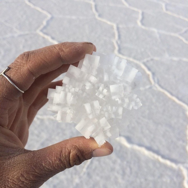 8. Un cristallo di sale trovato nel deserto del Salar de Uyuni, Bolivia
