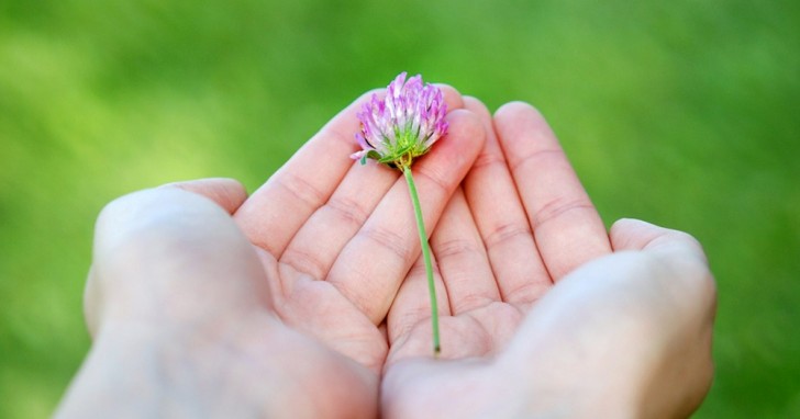 Essere umili non ci rende necessariamente più "piccoli" degli altri, ma spesso migliori - 2