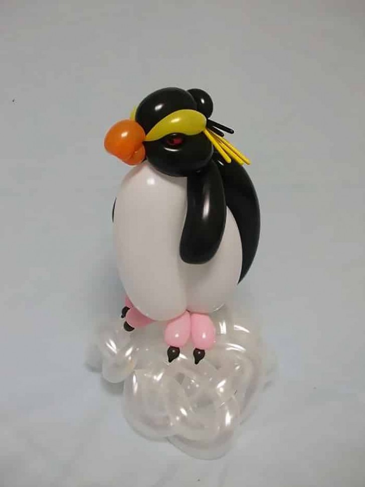 44. Pinguin