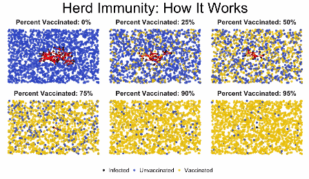 Vaccini: in soli 6 secondi questa immagine mostra chiaramente come funziona l'immunità di gregge - 1