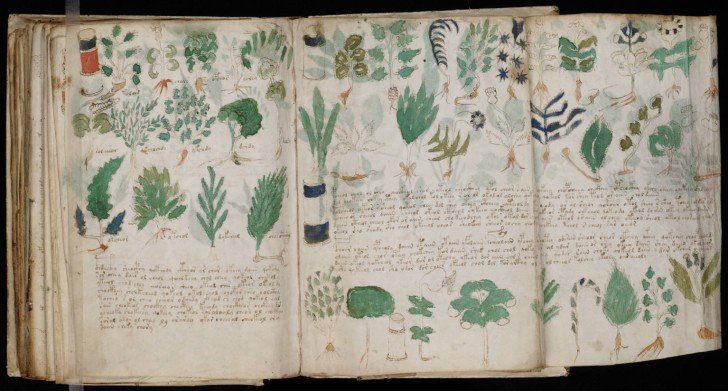 11. Das Manuskript von Voynich