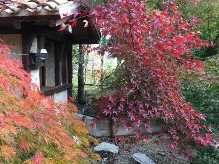 La locanda ha 3 alloggi per due persone dal caratteristico stile nipponico...
