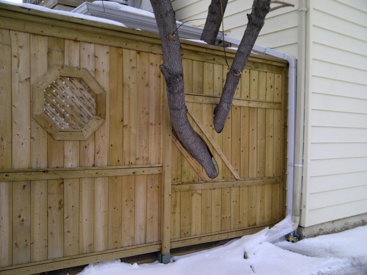 7. Warum einen Baum fällen, wenn man einen Zaun darum bauen kann?