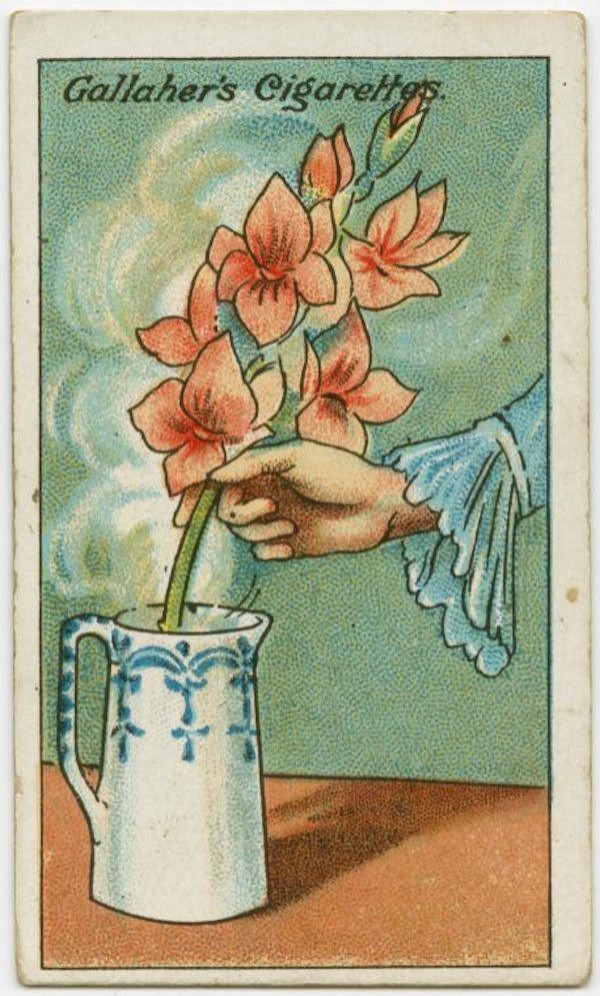 1. Pour raviver les fleurs, mettez-les dans une cruche avec de l'eau chaude, puis coupez la dernière partie de la tige et mettez-les dans le vase avec de l'eau froide.