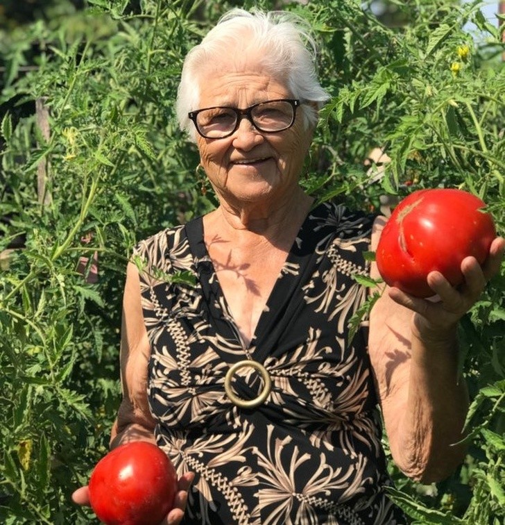 5. Grand-mère voulait être photographiée pour que tout le monde puisse voir à quel point ses tomates poussent.