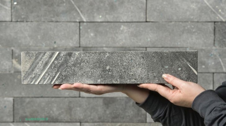 1. L'alternativa economica e priva di emissioni di CO2 al cemento: mattoni di bio-cemento prodotto da batteri coltivati