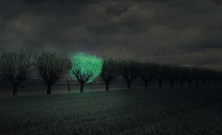 5. Beleuchtung von Straßen und Städten mit bio-lumineszierenden Bäumen, die durch Enzyme von Quallen und Glühwürmchen erzeugt werden