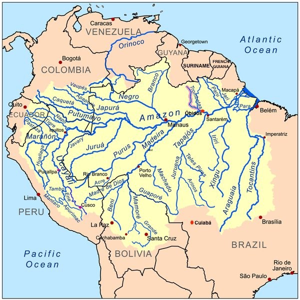 Brasile: in arrivo tre progetti infrastrutturali che minacciano drammaticamente la foresta amazzonica - 2