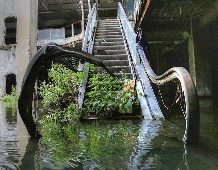 10. Des escalators abandonné entre eau et plantes