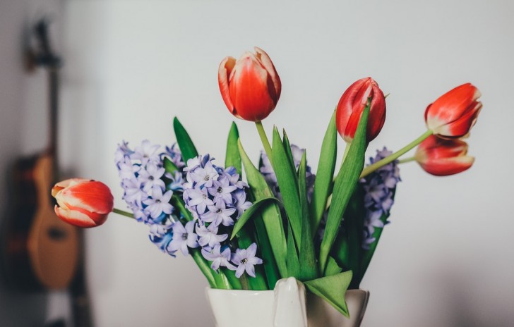 La romántica leyenda del nacimiento del tulipán, la flor de la primavera y del amor - 3