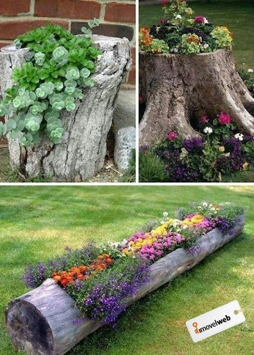 1. Le tronc d'un vieil arbre qui a été abattu peut devenir une jolie jardinière naturelle !