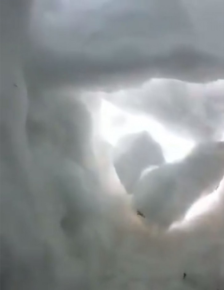 Ein Mann, der im Schnee gefangen ist, filmt den Moment, in dem er von einem Rettungshund gerettet wird - 2