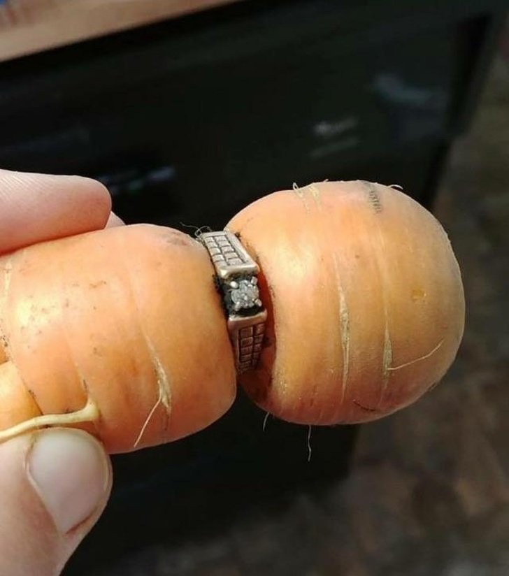 10. Un anello di diamanti perso anni fa ritrovato su una carota in giardino!