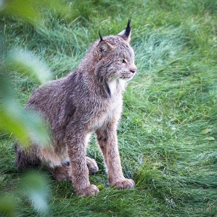 Ces images extraordinaires nous rappellent une fois de plus combien il est important de préserver le merveilleux patrimoine naturel de la Terre !