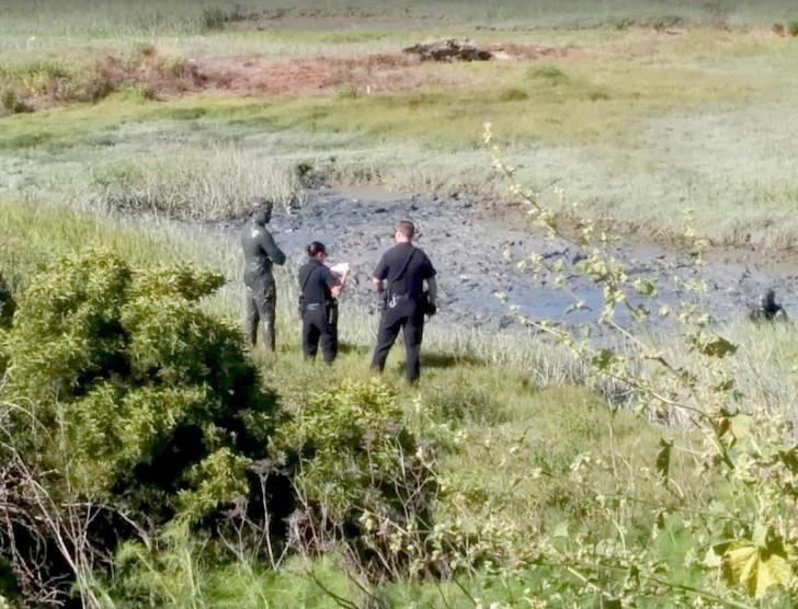 4. "Je suis tombé sur cette image en arrivant au parc !"