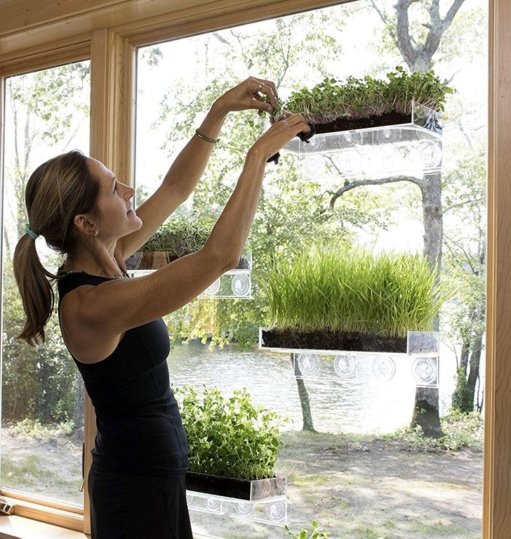 4. Porta vasi a ventosa per creare un piccolo giardino interno!