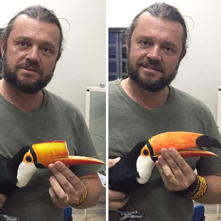 4. This is how this Toucan parrot looked before its beak was reconstructed with 3D technology!