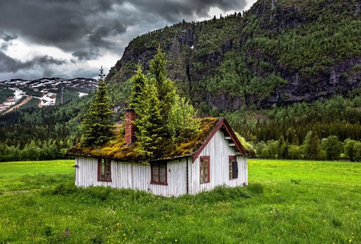 13. Ein verlassenes Ferienhaus in Norwegen, die Bäume haben es geschafft, die Macht zu übernehmen