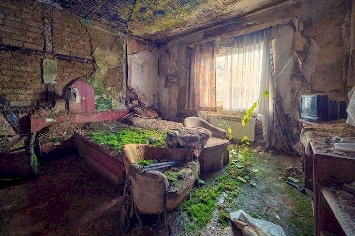 4. Ein altes verlassenes Hotelzimmer, das heute nur noch die Natur beherbergt