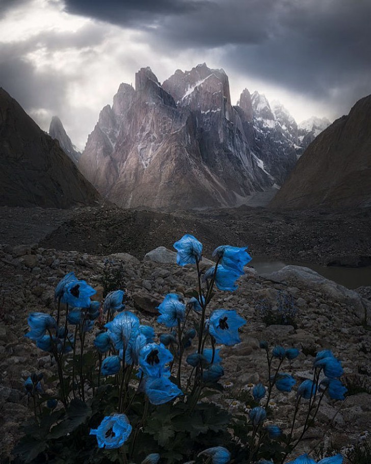 Torres Del Paine Nationaal Park, Chili, Weimin Chu