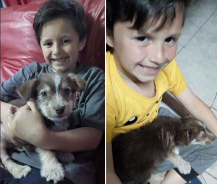 He rescues a puppy that other children were mistreating and takes it to a vet and soon the two become inseparable! - 1