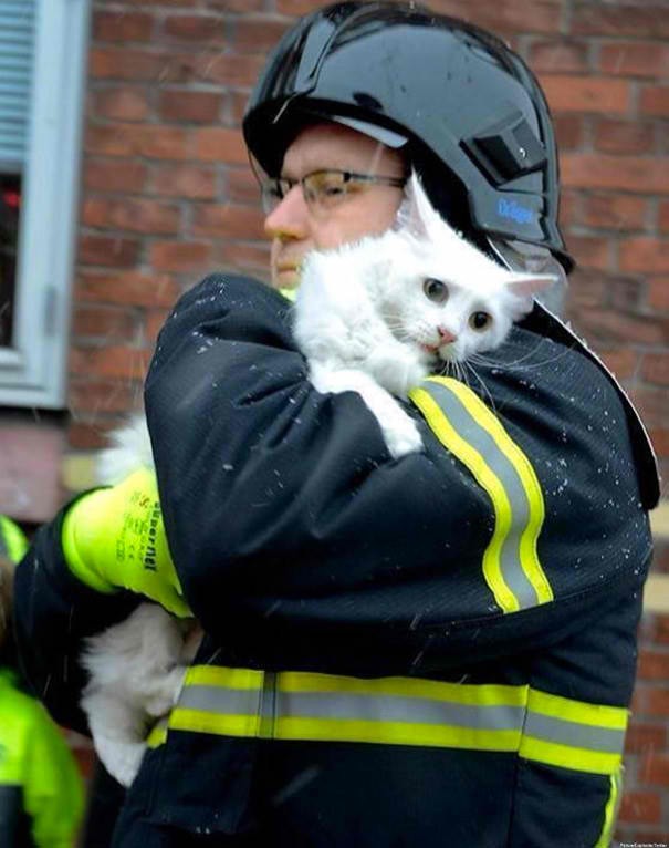 Un pompiere in Danimarca ha appena salvato un gatto da una casa in fiamme.