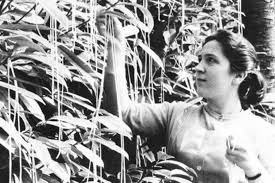 8. En 1957, la BBC a publié un message publicitaire dans lequel un groupe de personnes recueillait des spaghettis sur le prétendu "arbre à spaghettis"...