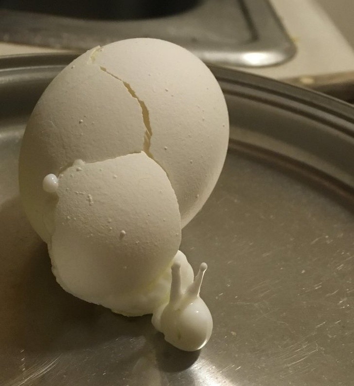 29. Cet œuf s'est cassé en bouillant et une partie du blanc est sorti... ou est-ce un escargot ?