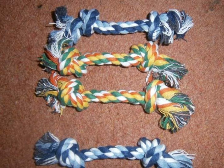 Rope Leash Manufacturer Farhan/Facebook