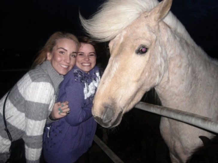 22. Diese beiden Mädchen sind eigentlich sehr neidisch auf die blonden Haare dieses Pferdes....